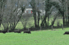 dsc_0016.jpg