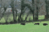 dsc_0018.jpg
