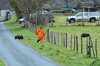 dsc_0019.jpg