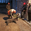 dsc_0025.jpg