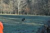 dsc_0004.jpg