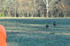 dsc_0005.jpg