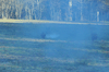 dsc_0008.jpg