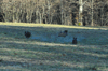 dsc_0009.jpg