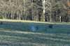 dsc_0010.jpg