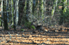 dsc_0019.jpg