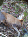 dsc_0029.jpg