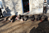 dsc_0031.jpg