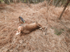 dsc_0044.jpg