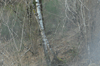 dsc_0045.jpg