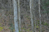 dsc_0046.jpg