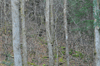 dsc_0047.jpg