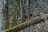 dsc_0048.jpg