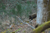 dsc_0049.jpg