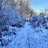 dsc_0003.jpg