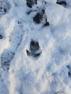 dsc_0006.jpg