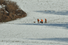 dsc_0014.jpg