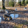 dsc_0015.jpg