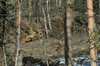 dsc_0025.jpg