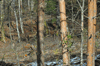 dsc_0027.jpg