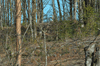 dsc_0028.jpg