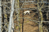 dsc_0029.jpg