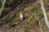 dsc_0031.jpg