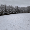 dsc_0008.jpg