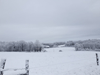 dsc_0009.jpg