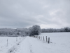 dsc_0010.jpg