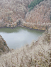 dsc_0016.jpg