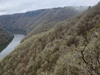 dsc_0017.jpg