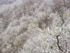 dsc_0018.jpg