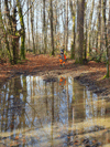 dsc_0031.jpg