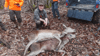 dsc_0034.jpg