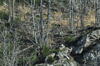 dsc_0004.jpg