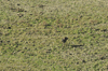 dsc_0053.jpg
