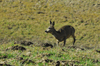 dsc_0057.jpg