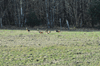 dsc_0058.jpg