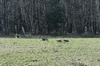 dsc_0059.jpg