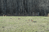 dsc_0060.jpg