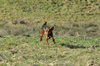 dsc_0062.jpg