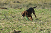 dsc_0063.jpg