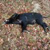 dsc_0006.jpg