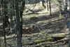 dsc_0012.jpg