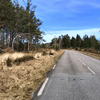 dsc_0015.jpg