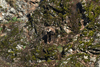 dsc_0003.jpg
