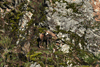 dsc_0005.jpg