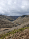 dsc_0007.jpg