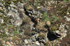 dsc_0009.jpg